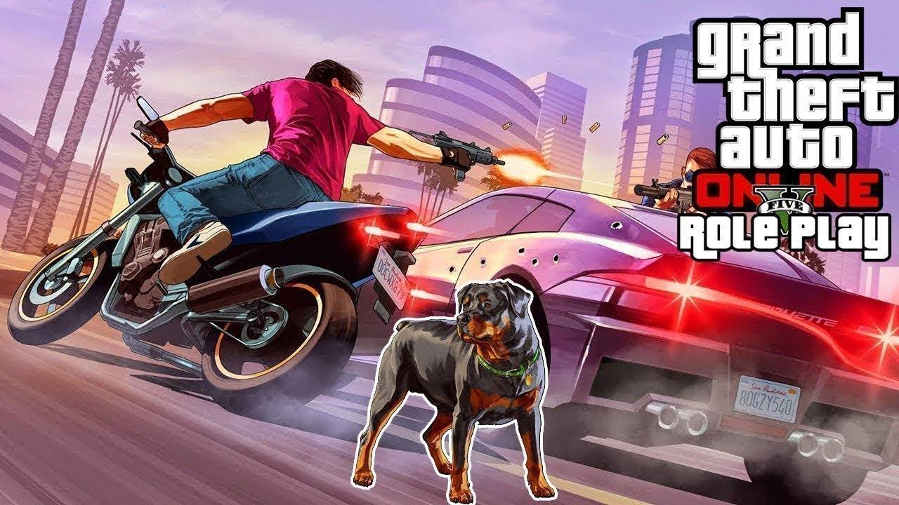 Путь Новичка на GTA 5 RP ► Grand Theft Auto V RP смотреть онлайн