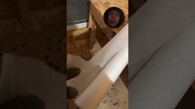 пароизоляция в доме