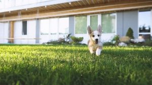 Гостиничный комплекс 7я Миля | video by Smart production