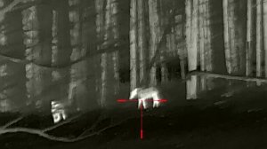 Вечерка на лабазе 😎