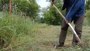 Зайцы в полночь траву на поляне косили...