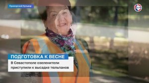 В Севастополе озеленители приступили к высадке тюльпанов