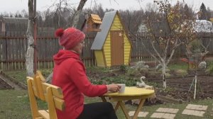 6 соток 9 ноября 2024 года. Хроника.