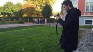 Как происходит видеосьемка свадьбы