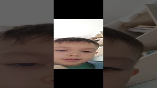 11-11-2024
