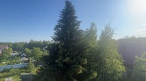 Сроим дом стропильная система. Пошаговый процесс строительтсва
