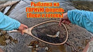 Рыбалка на ГОРНУЮ форель и ОДИНОЧНЫЙ кемпинг!!! (Лови и готовь)