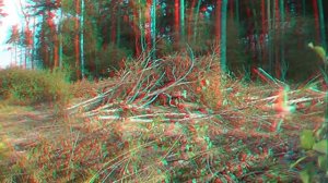 Мохоморд 3D (анаглиф)
