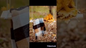 осенний джаз