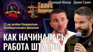 Как начиналась работа штабов - Денис Ганич, Дмитрий Молев, Нина Львова (12 лет штабам НОД)