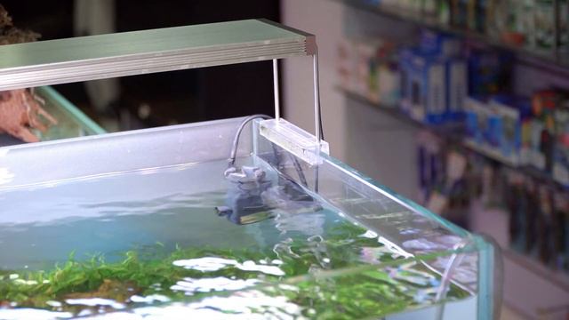 Problemas de aquecimento смотреть онлайн