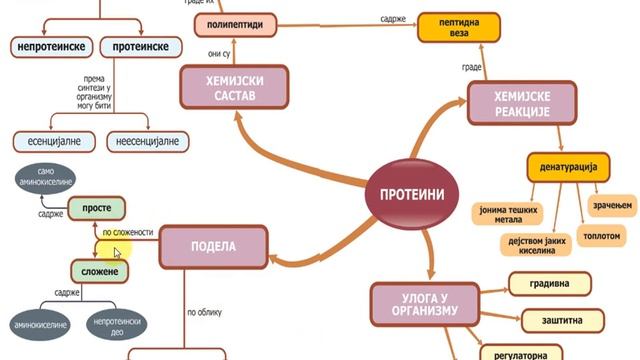 VIII 62 3 Biomolekuli LV proteini смотреть онлайн