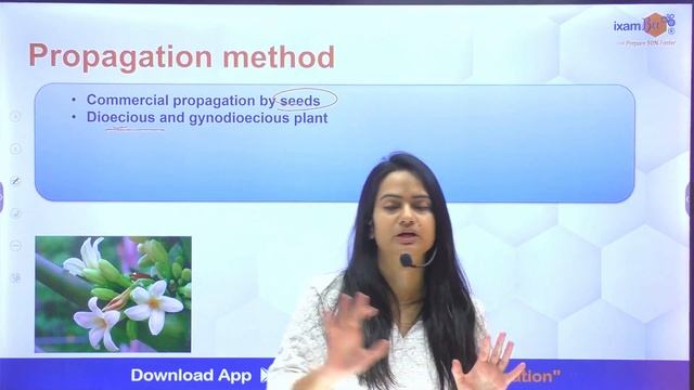 DSSSB SO Horticulture 2024 || Papaya || DSSSB 10 min Series || By Sonal Mam