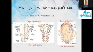 Роды без боли (демоверсия)