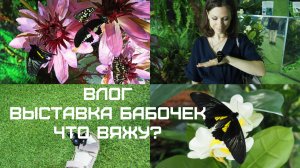 ВТОРОЙ ВЯЗОВЛОГ. ВЫСТАВКА БАБОЧЕК. ВЯЗАНЫЕ БЕГЕМОТЫ