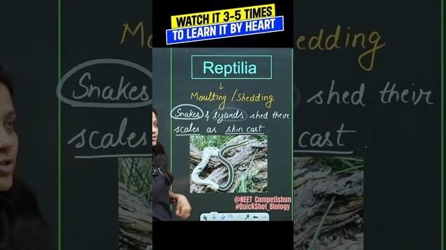 How snakes change their skin? | QuickShot Biology | #neet#biology#neetpreparation смотреть онлайн