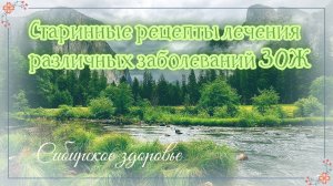 СТАРИННЫЕ НАРОДНЫЕ РЕЦЕПТЫ ЗОЖ