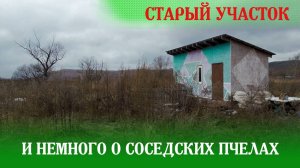 О старом участке и соседских пчелах