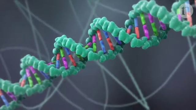 Penyunting Genom (Genome editing.) смотреть онлайн