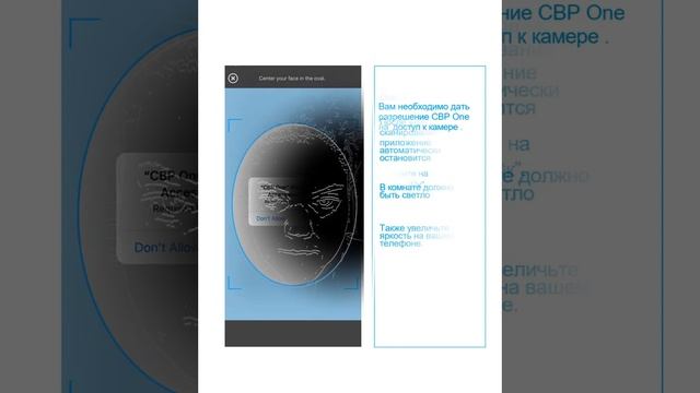 Приложение CBP ONE: легальный въезд в США без визы. Инструкция по заполнению