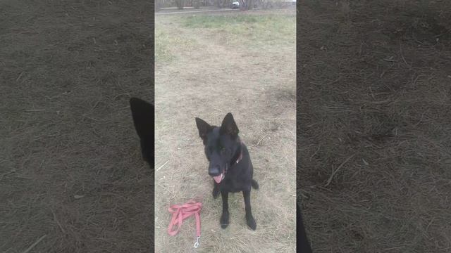 VID-20241104-WA0008 смотреть онлайн