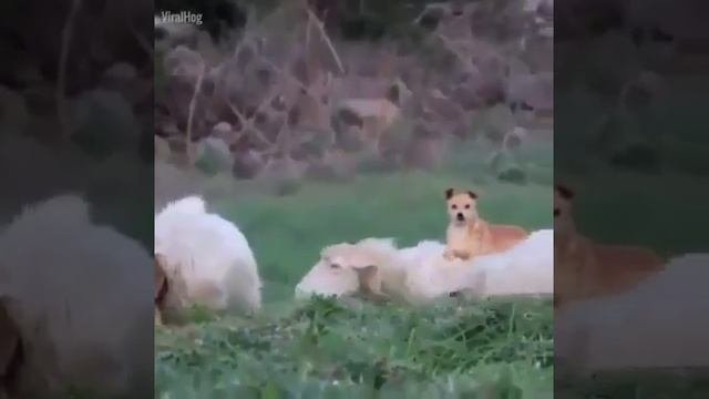 Отдых это святое