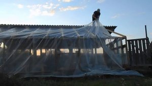 Сарай-теплица - это удобно!