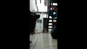 Как научить собаку считать/ Como enseñar al perro contar/ How to teach dog trick "How much"