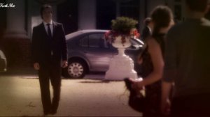 Delena-40 градусов