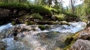 6466721-uhd_2562_1440_30fps