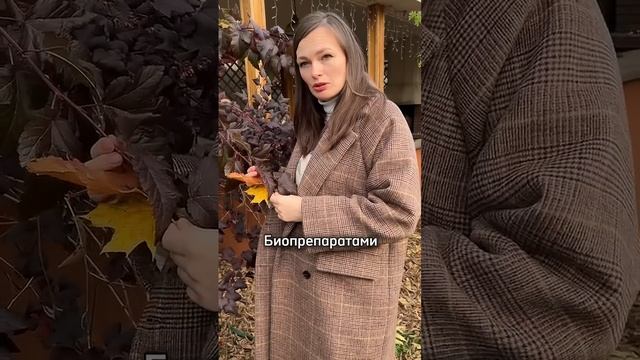 Листья ореха В ОГОРОД?! Эксперт разрешила