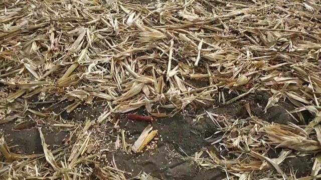 29 октября 2021 г. смотреть онлайн