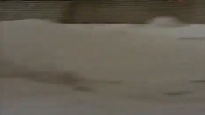 Нервная система    как это работает