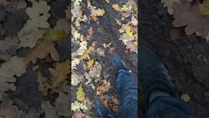 Обкатка Альфа 110 кубов