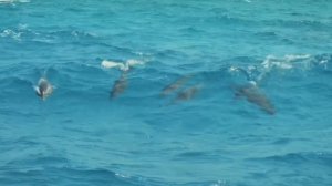 Maldives. Kamadhoo