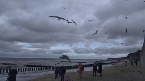 Светлогорск в ноябре 2021 года. Балтийский берег.