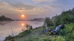 5 основных причин которые нужно знать, почему рыба не клюёт?