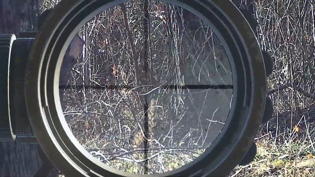 Охота на деда мороза наводим суету в краснодаре с aap-01 и vsr10