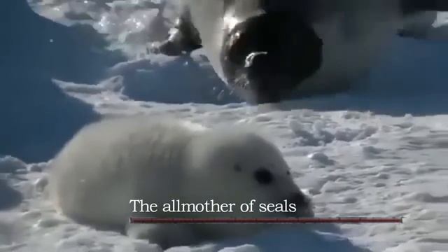 when you trigger the secret boss without knowing it смотреть онлайн