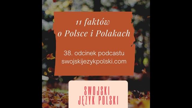 Learn Polish podcast: 11 faktów o Polsce i Polakach смотреть онлайн