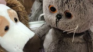 Школа Басиков.