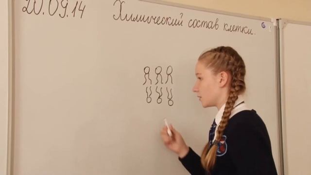 ролик об учителе