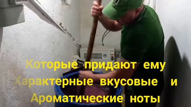 Мацерация