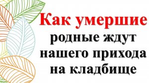 Как умершие родственники  и родные ждут нашего прихода на кладбище
