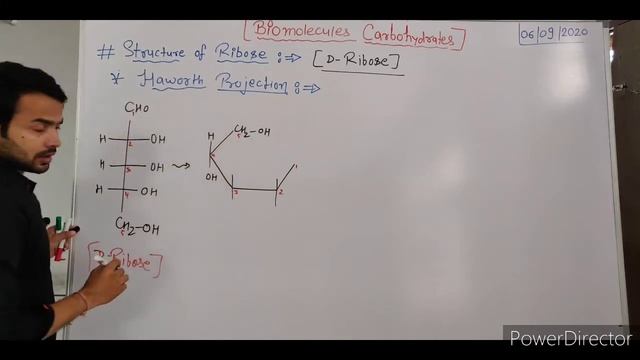 Biomolecules || Structure of Ribose and Deoxyribose