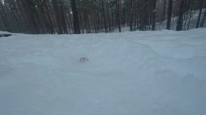 Li pol аккумулятор закоротили и он пыхнул