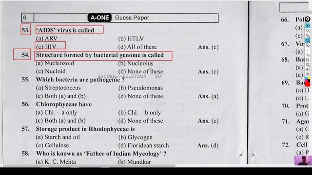 Structure formed by bacterial genome is called