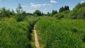 Я скажу тебе ДОБРОЕ УТРО 9на стихи Анны Шияновой)