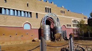 Прогулка по Московскому зоопарку. Сентябрь 2023