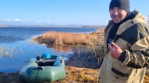 СБОР КЛЮКВЫ-НА САХАЛИНЕ-КРАСНОЕ ЗОЛОТО